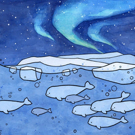 Belugas and Aurora Illustration Arctic Animal Print