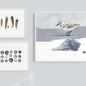 Sandpiper & Whelk Print