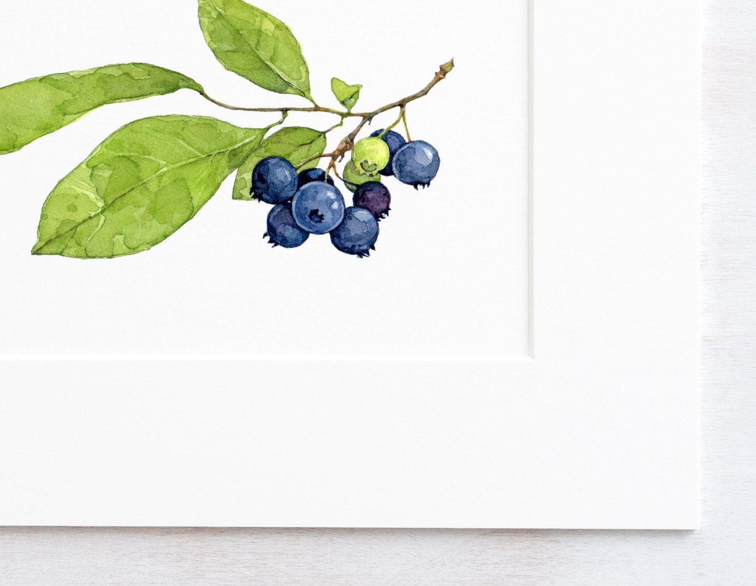 Blueberries Watercolor Print: Botanical Wall Art