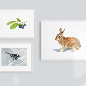Black and White Warbler Print