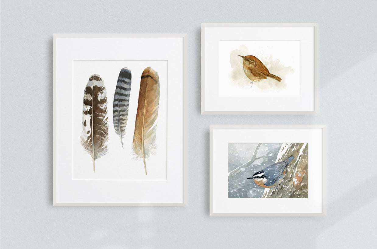 Nuthatch in Snow Watercolor Print