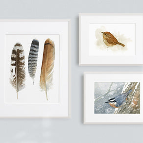 Nuthatch in Snow Watercolor Print