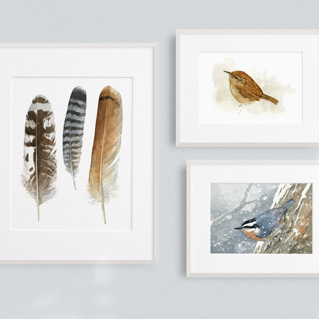 Nuthatch in Snow Watercolor Print