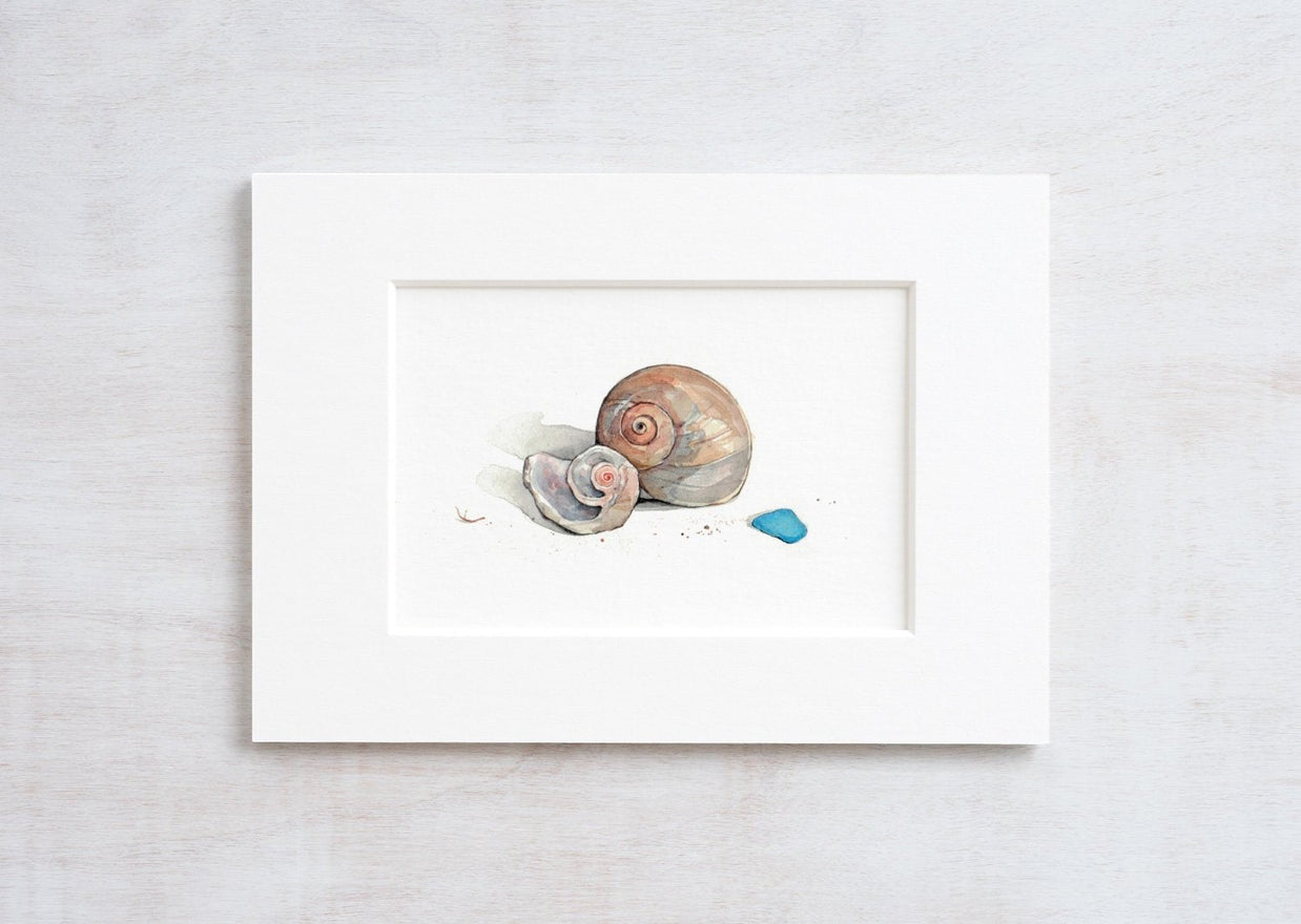 Moon Snail Shells Watercolor Painting: Beach Art Print