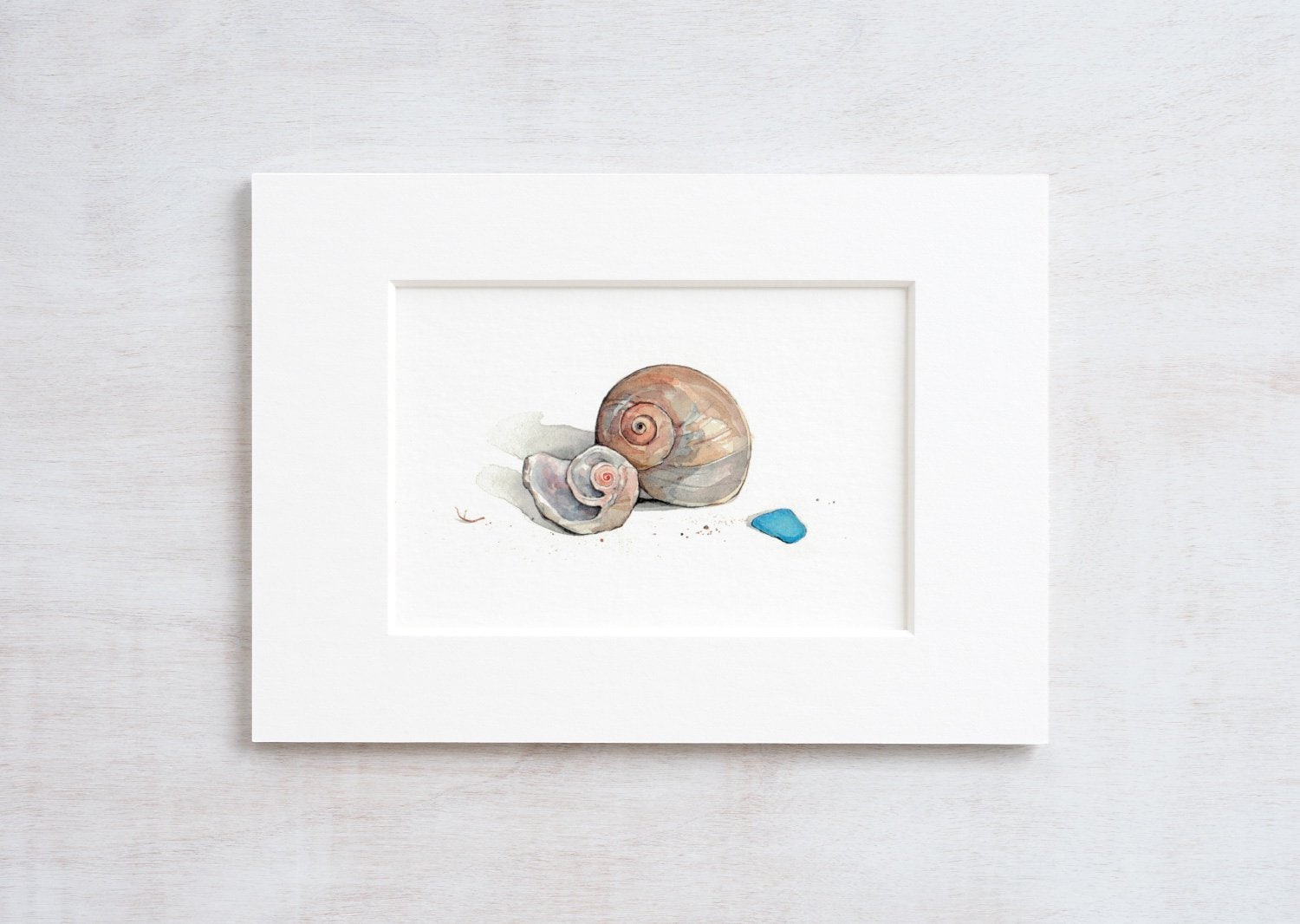 Moon Snail Shells Watercolor Painting: Beach Art Print
