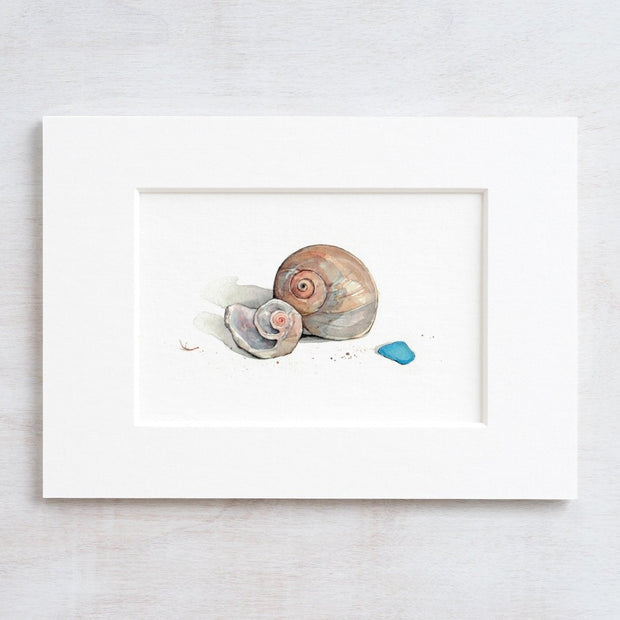 Moon Snail Shells Watercolor Painting: Beach Art Print