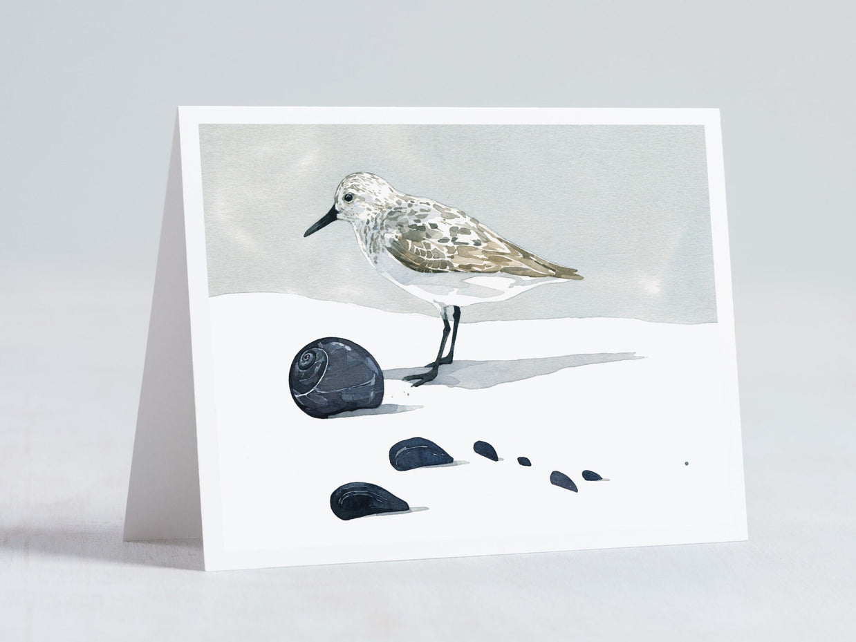 Shorebirds Card Set Mix I