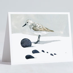 Shorebirds Card Set Mix I