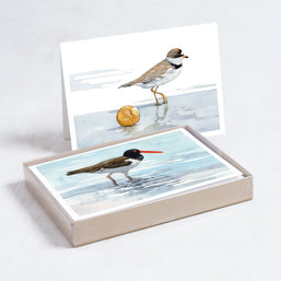 Shorebirds Card Set Mix I