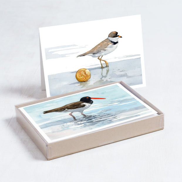 Shorebirds Card Set Mix I