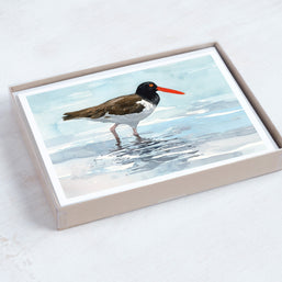 Shorebirds Card Set Mix I