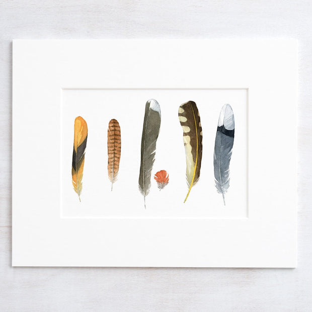 Backyard Bird Feathers Print