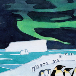 Emperor Penguins and Aurora Print