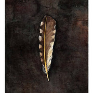 Northern Flicker Feather Watercolor Art Print