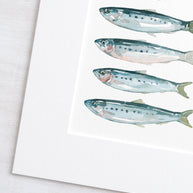 Sardines Print