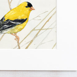 Goldfinch on Branch Print