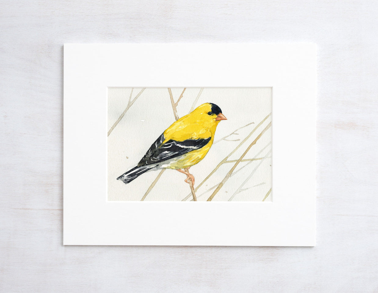 Goldfinch on Branch Print