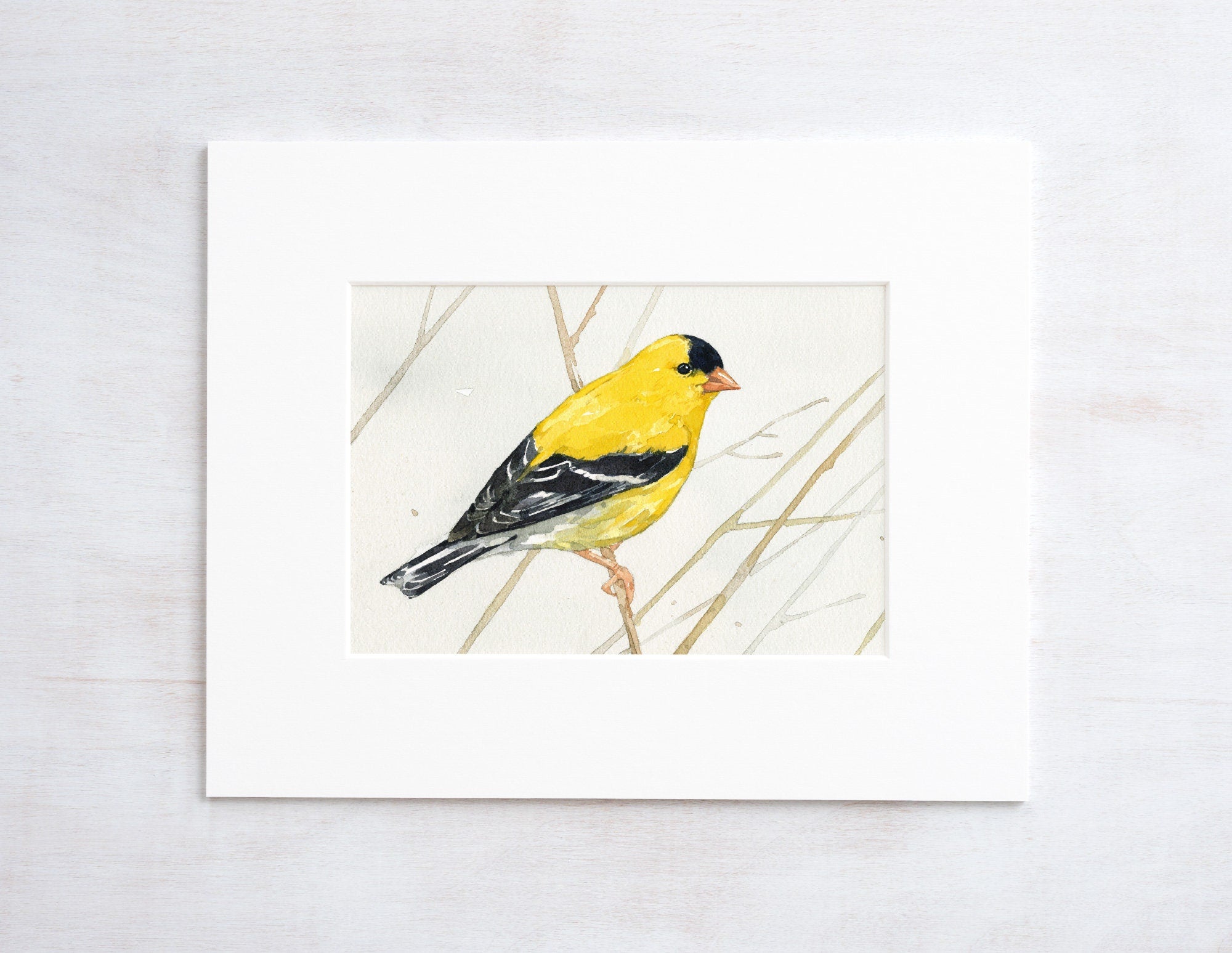 Goldfinch on Branch Print