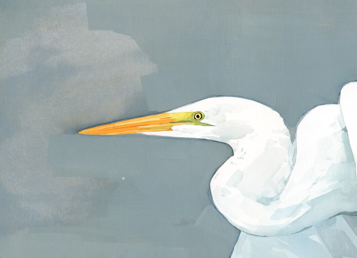 Great Egret Print