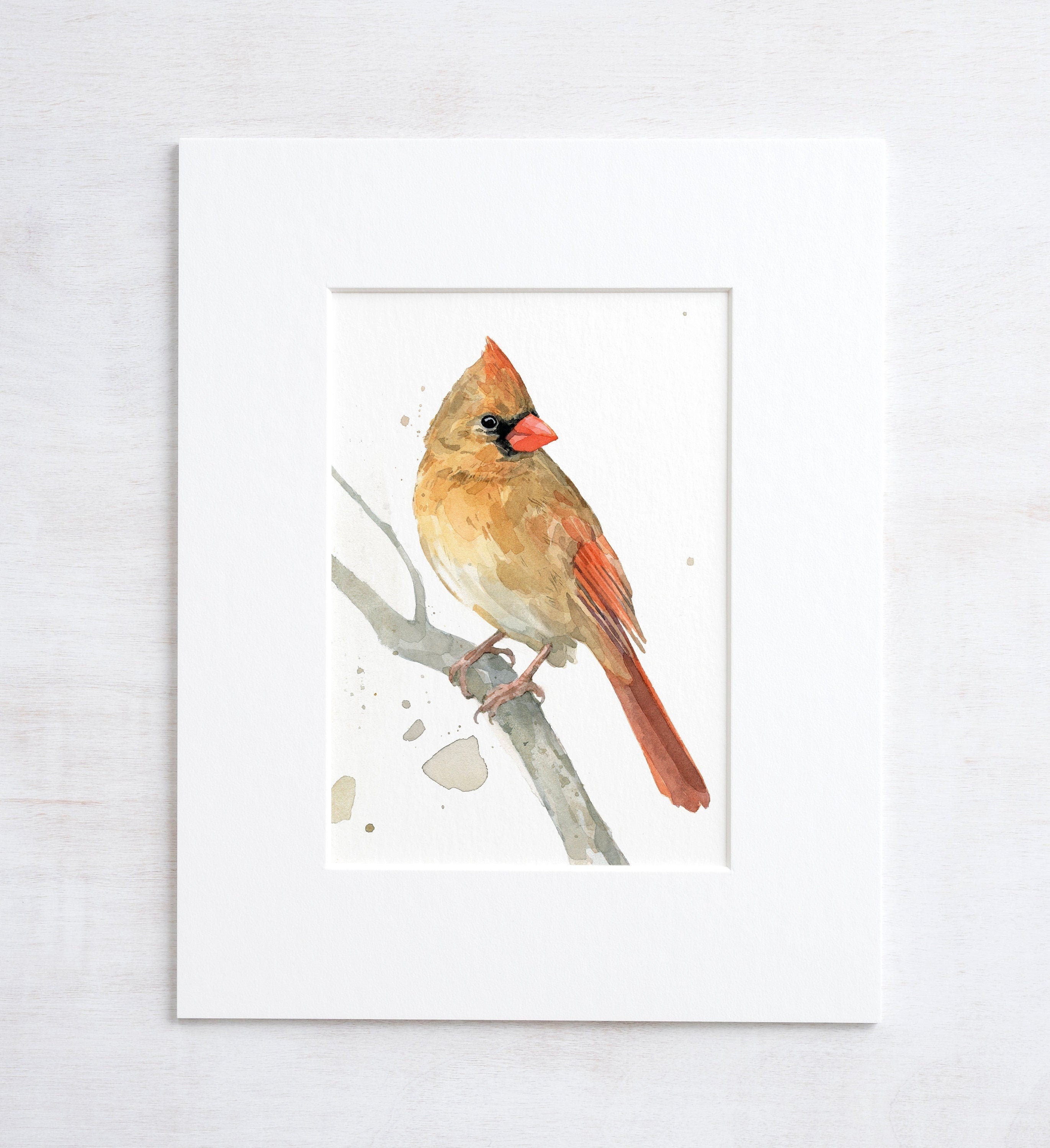 Female Cardinal on Branch Print
