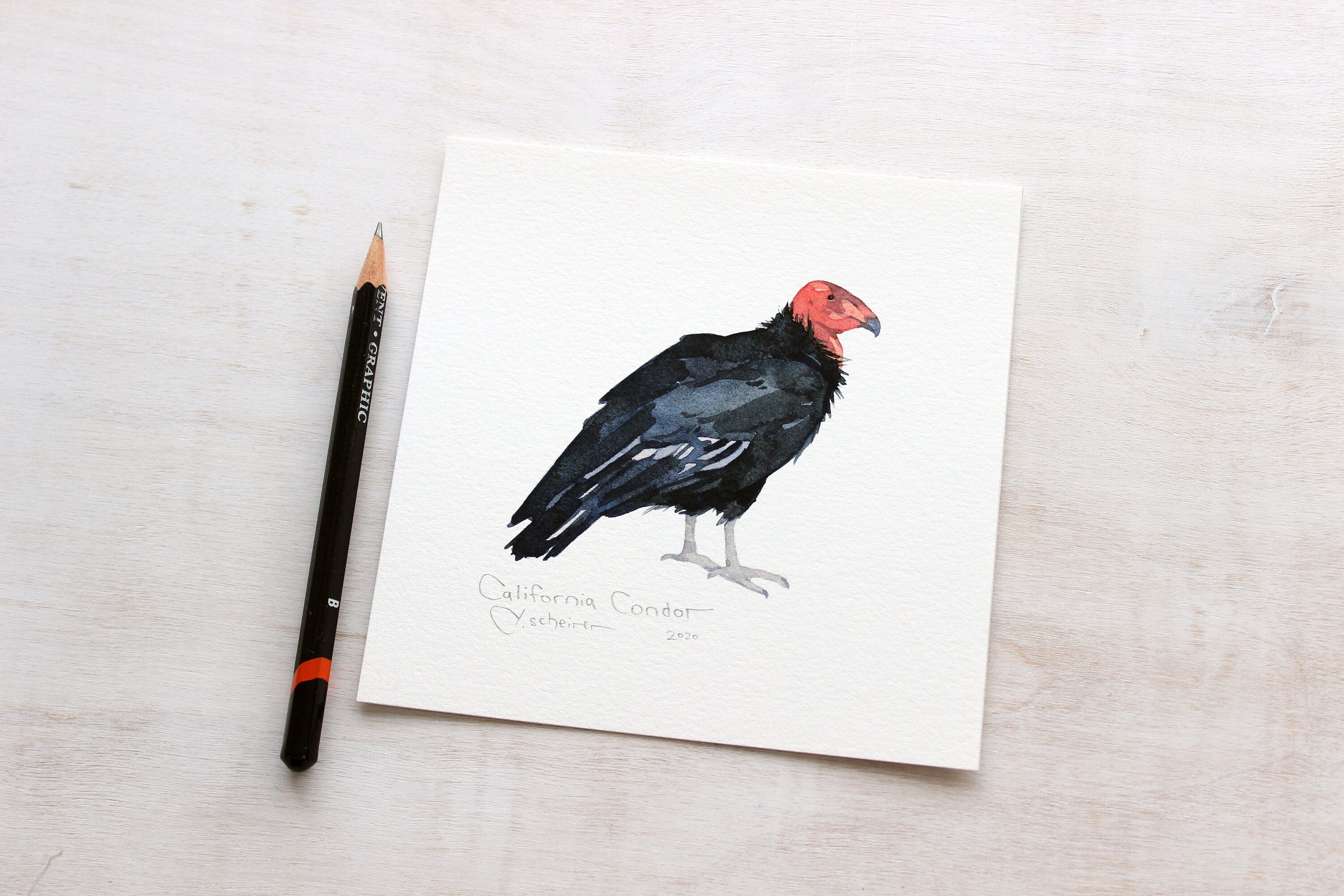 California Condor Print