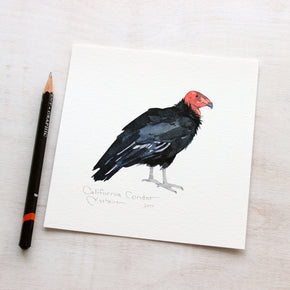 California Condor Print