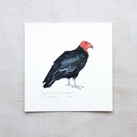 California Condor Print