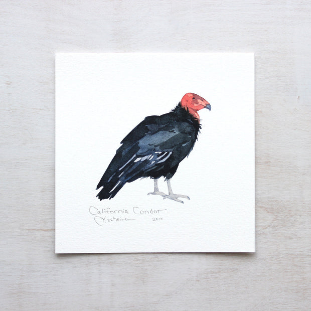 California Condor Print