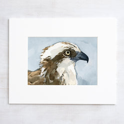 Osprey Watercolor Print
