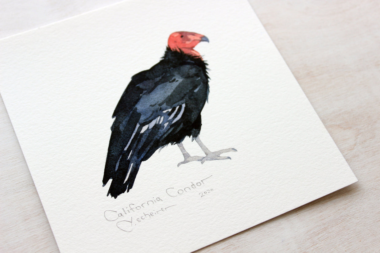 California Condor Print