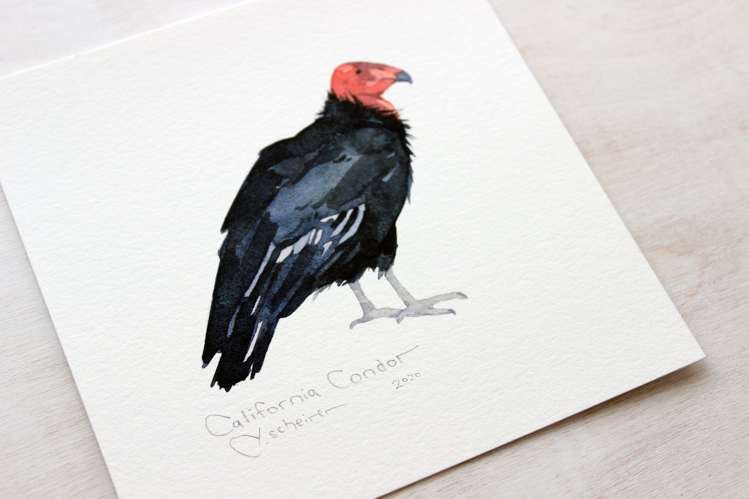 California Condor Print