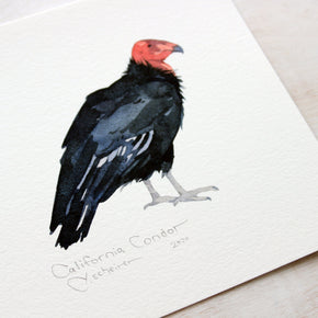 California Condor Print