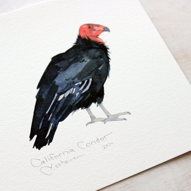 California Condor Print
