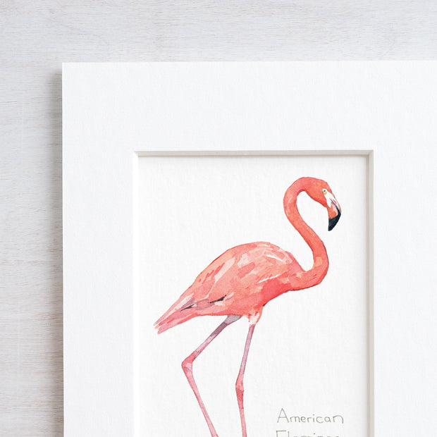 Flamingo Art Print