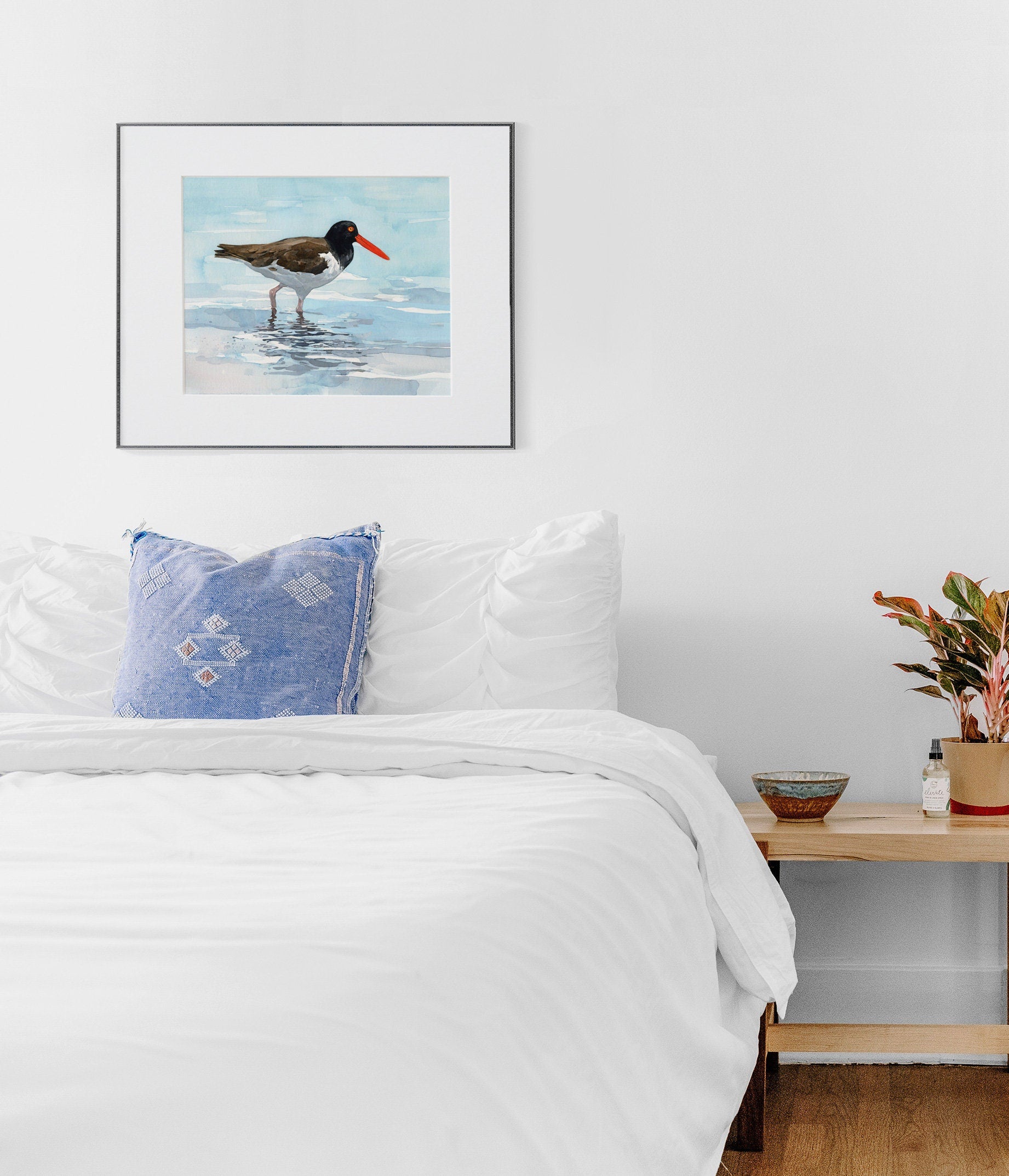 American Oystercatcher Print
