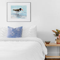 American Oystercatcher Print