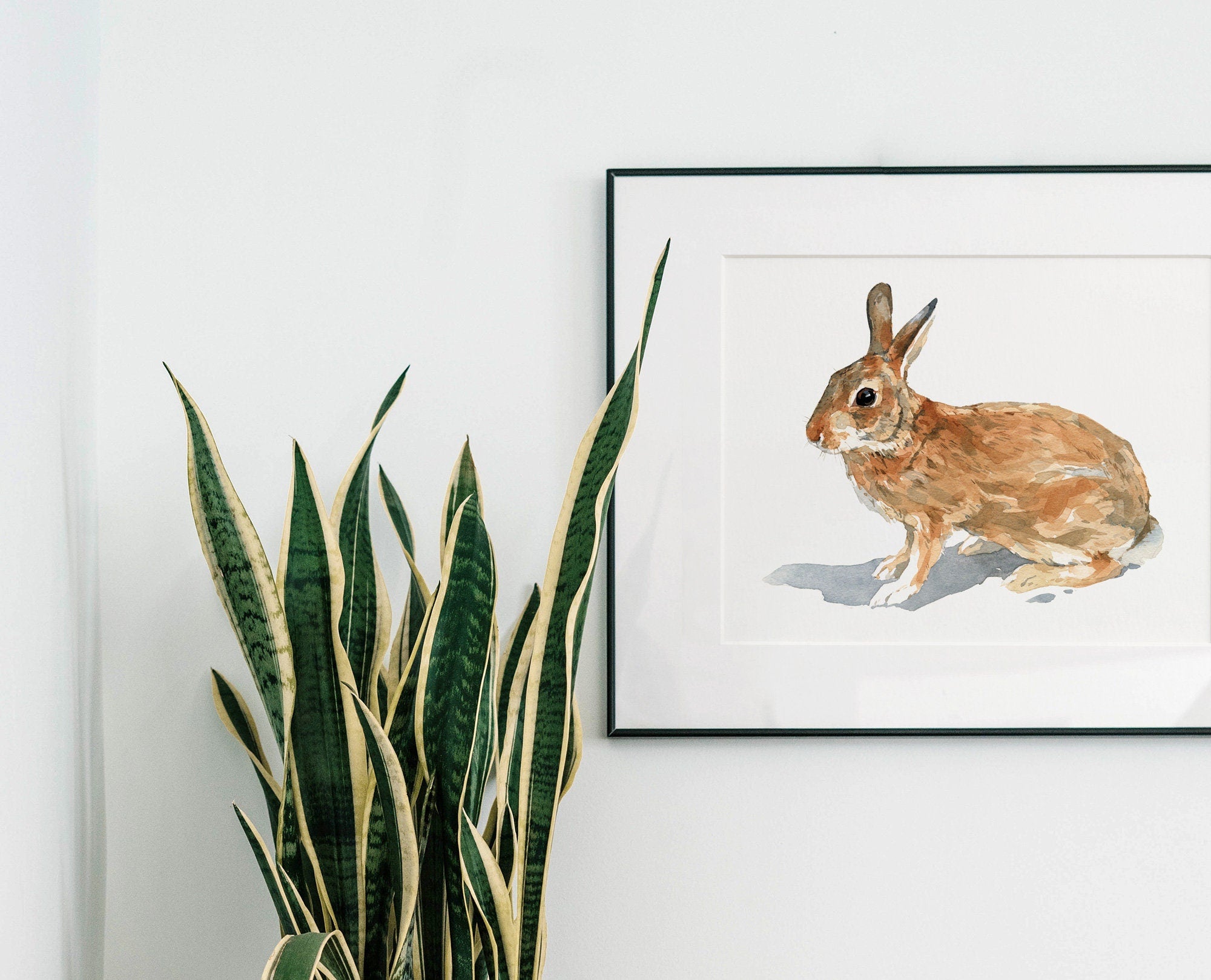 Wild Rabbit Print