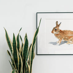 Wild Rabbit Print