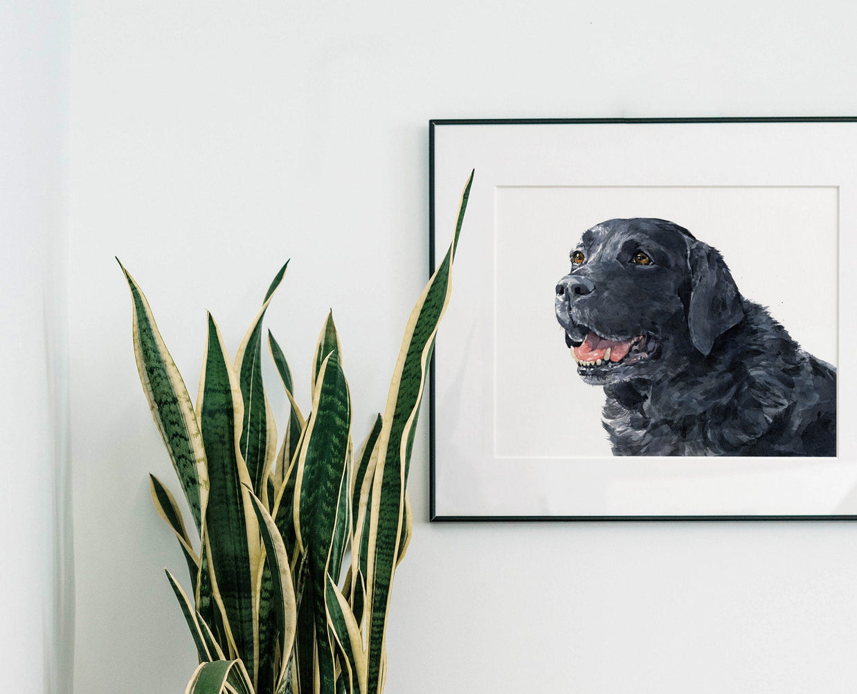 Black Labrador Retriever Print