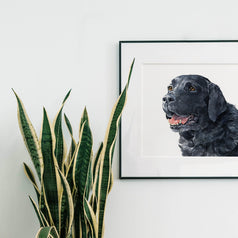 Black Labrador Retriever Print