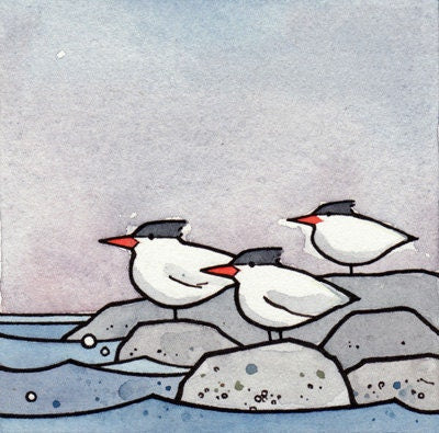 Terns Art Print