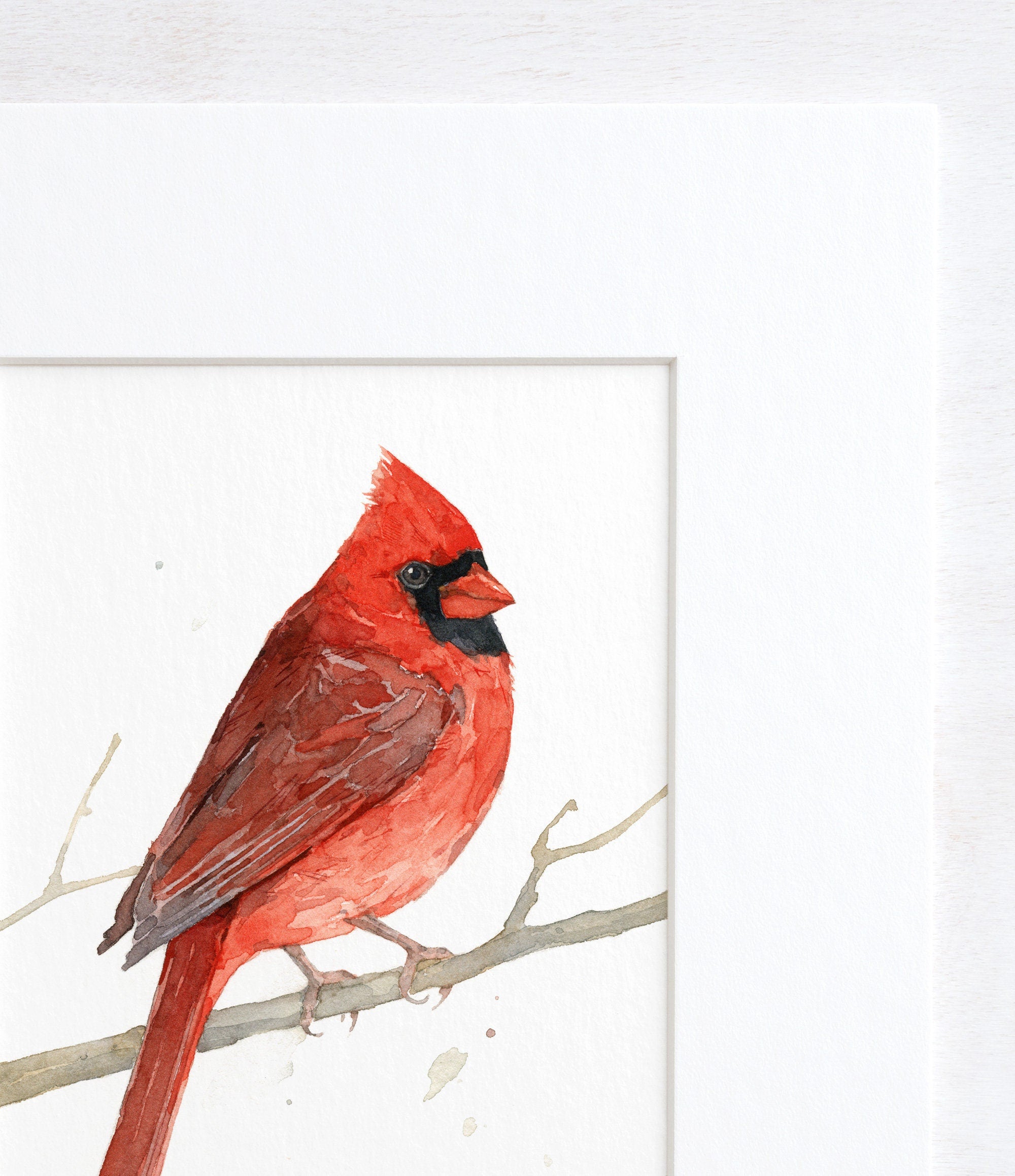 Male Cardinal on Branch