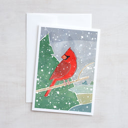 Cardinal Christmas Card Set