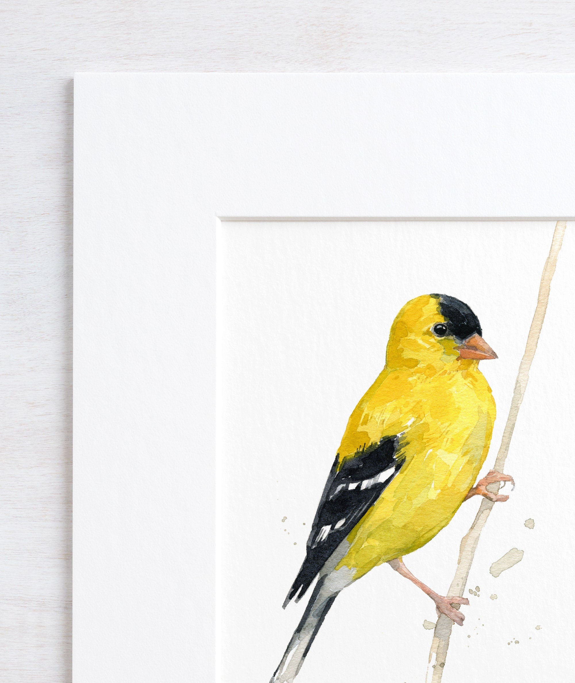 Goldfinch in Grass Print