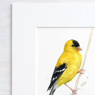 Goldfinch in Grass Print