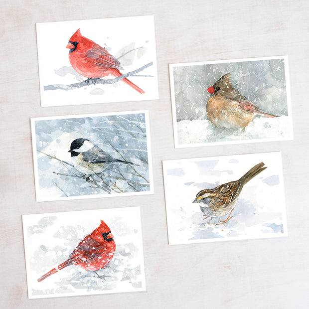 Winter Bird Holiday Card Set I
