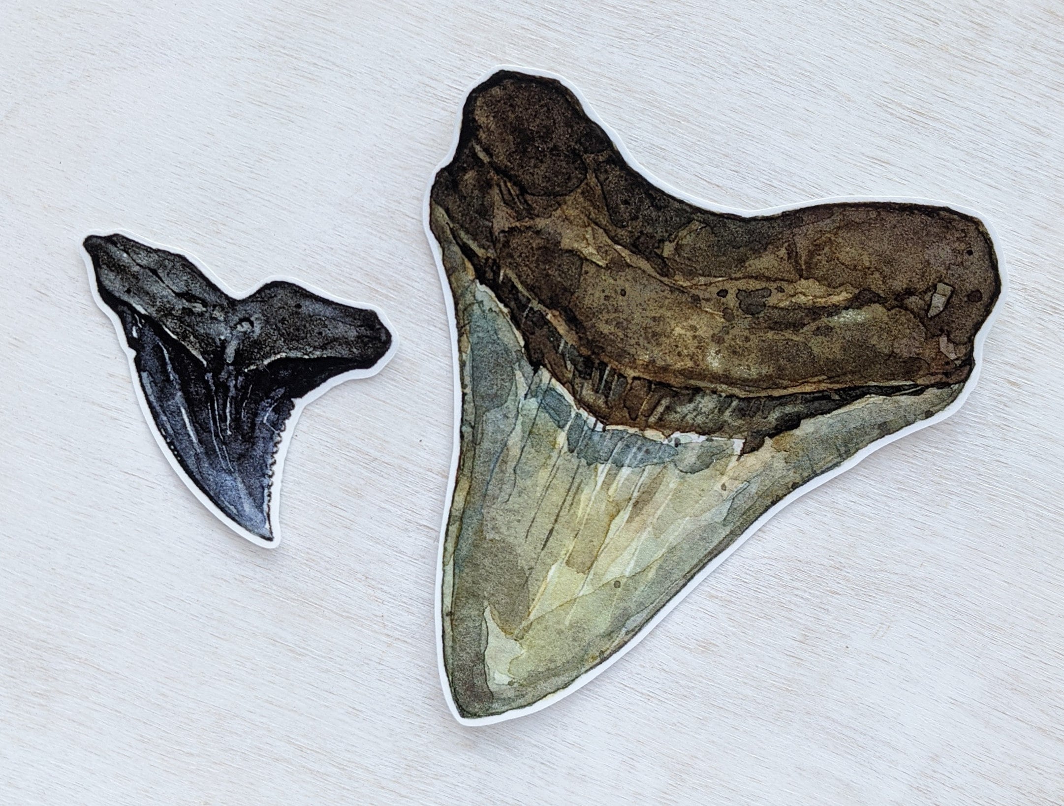 Shark Teeth Sticker Set
