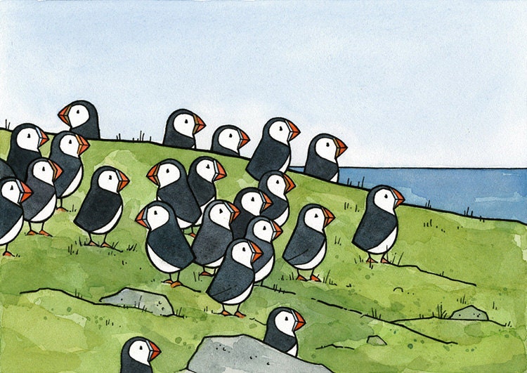 Puffin Colony Print I