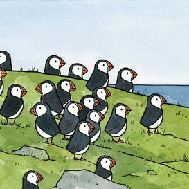 Puffin Colony Print I
