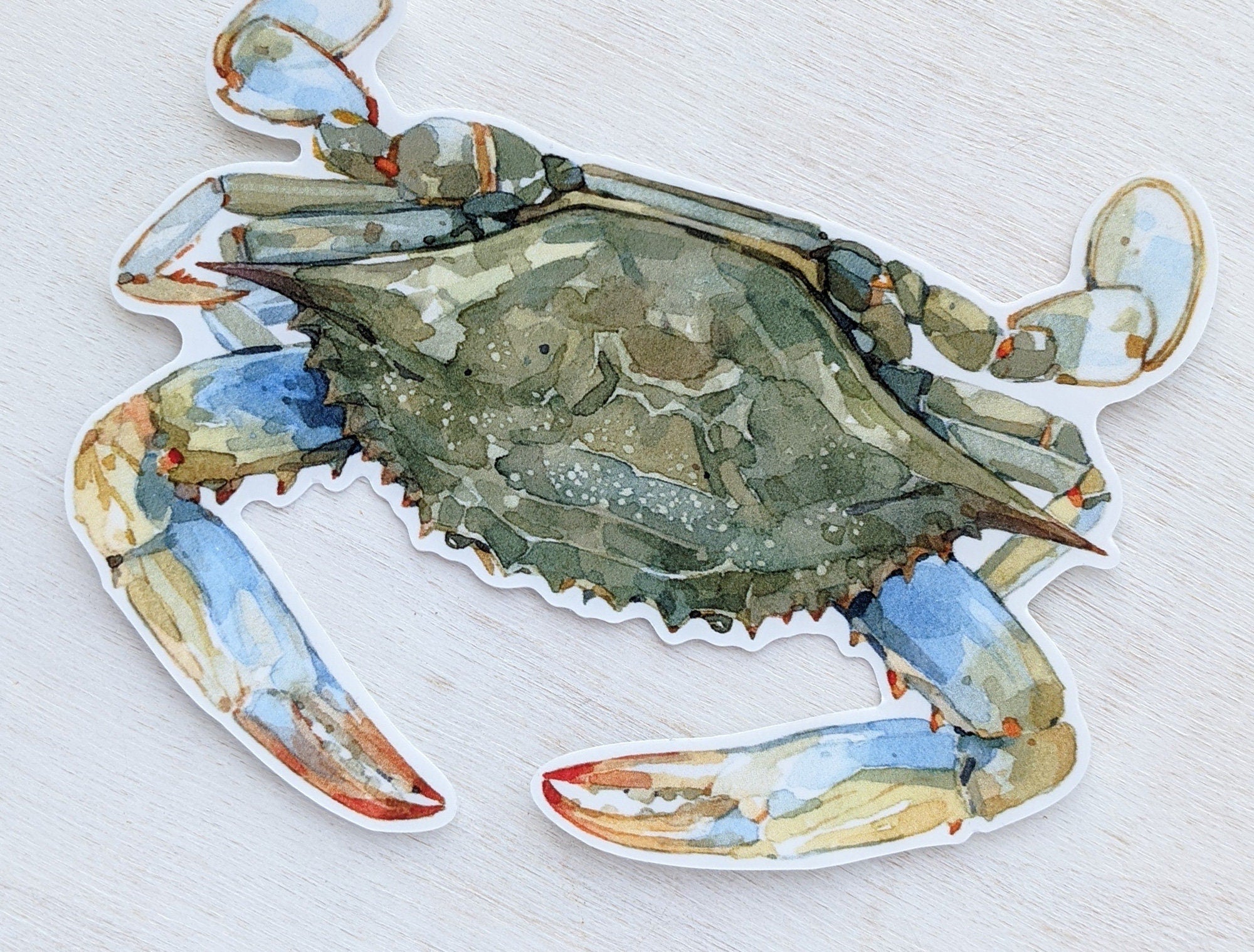 Blue Crab Sticker